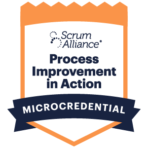 Process Improvement: From Analysis to Action badge
