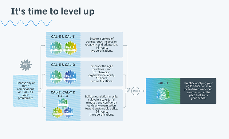 CalInfographic