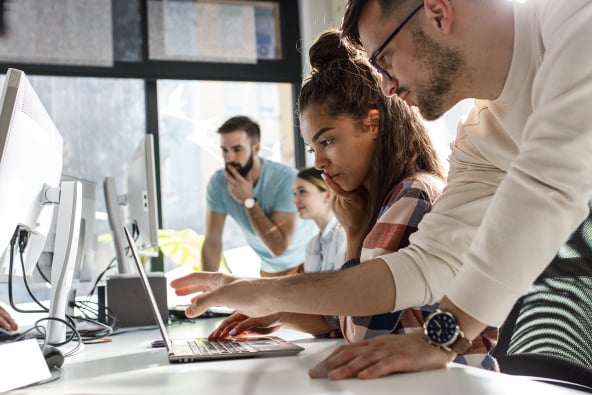 Colleagues working together