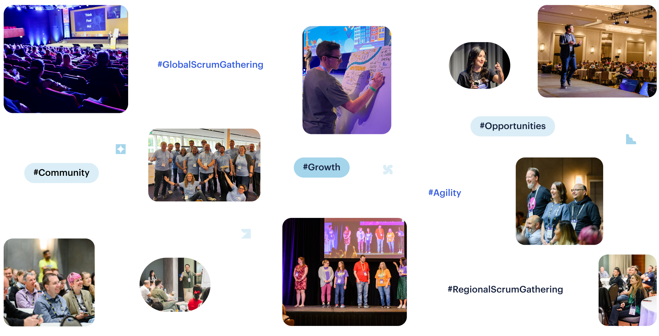 Agile Professionals Grow Stronger Together