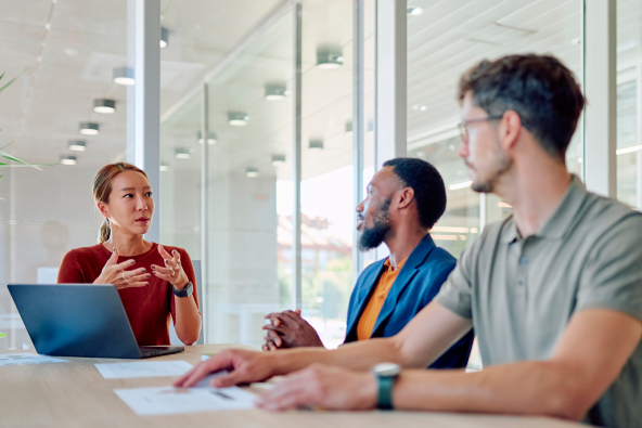 Team in a presentation meeting