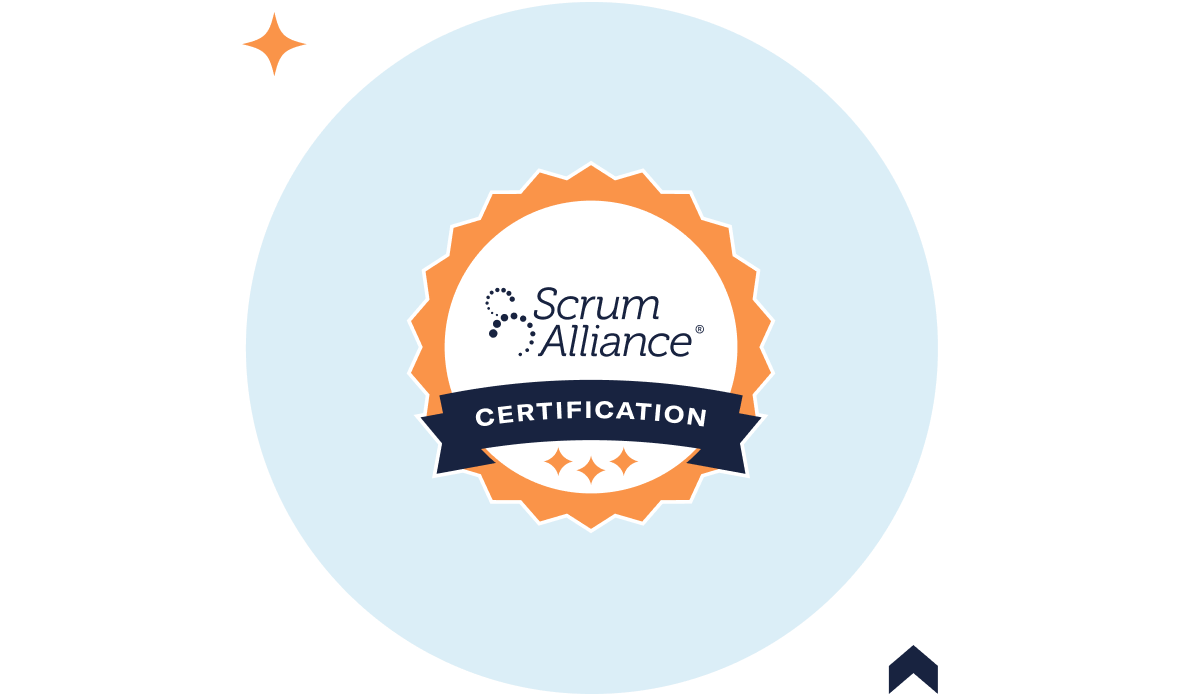 Certification icon